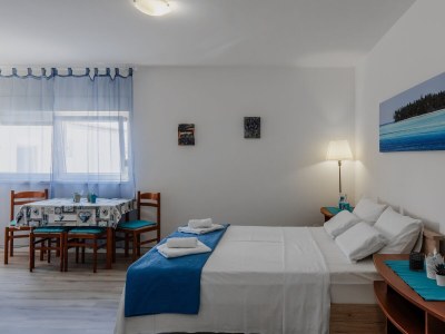 Apartment One bedroom apartment with air-conditioning Vir A-23033-b in Vir - Apartment