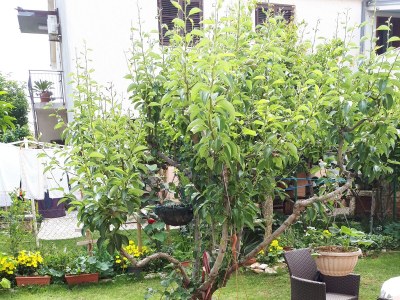 Apartment Two bedroom apartment with terrace Medulin A-23049-c - Outdoor photo 4