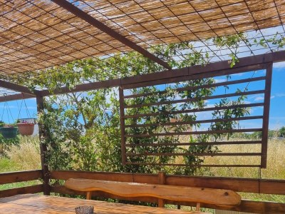 Apartment Two bedroom apartment with terrace and sea view Sukošan, Zadar A-23119-a - Outdoor photo 5