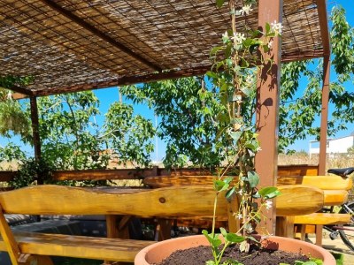 Apartment One bedroom apartment with terrace and sea view Sukošan, Zadar A-23119-b - Outdoor photo 5