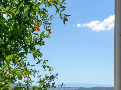 Apartment One bedroom apartment with balcony and sea view Seget Donji, Trogir A-23273-a - Outdoor photo 11