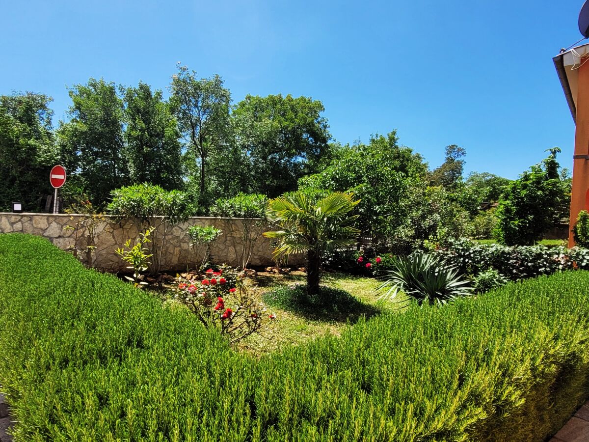 Apartment One bedroom apartment with balcony Sveti Anton, Krk A-23321-a - Outdoor photo 2