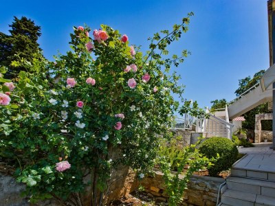 Apartment One bedroom apartment with balcony and sea view Hvar A-23674-b - Outdoor photo 6