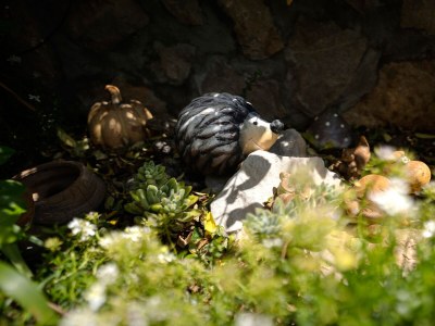 Apartment One bedroom apartment with terrace and sea view Stari Grad, Hvar A-18458-c - Outdoor photo 12