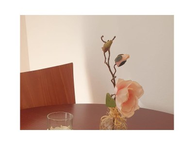 Apartment One bedroom apartment with balcony Tisno, Murter A-23720-a - Outdoor photo 7