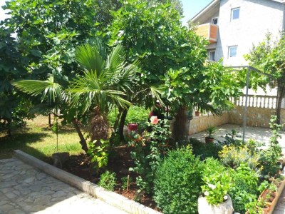 Apartment One bedroom apartment with terrace Rudina, Hvar A-23777-a - Outdoor photo 9