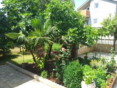 Apartment One bedroom apartment with terrace Rudina, Hvar A-23777-b - Outdoor photo 7