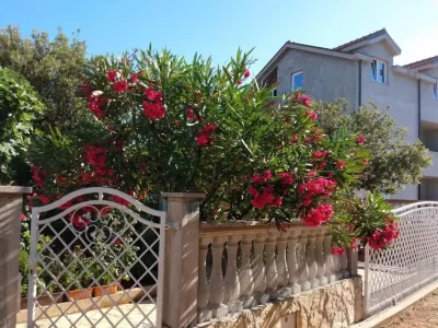 Apartment One bedroom apartment with terrace Rudina, Hvar A-23777-b - Outdoor photo 8