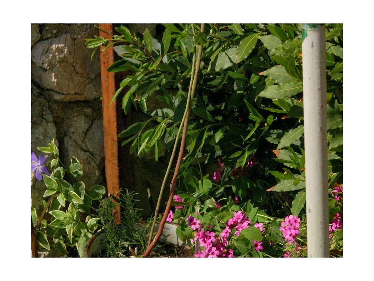 Apartment Apartments by the sea Zubovići, Pag - 241 - Outdoor photo 5