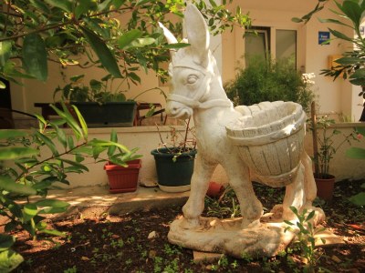 Apartment Apartments by the sea Vis - 2459 - Outdoor photo 8