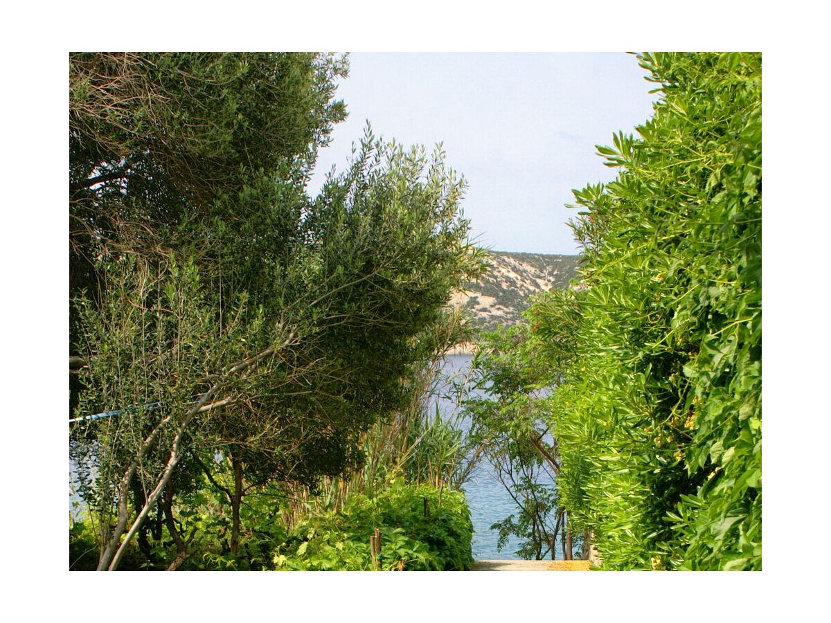 Apartment Apartments by the sea Stara Novalja, Pag - 4099 - Outdoor photo 3