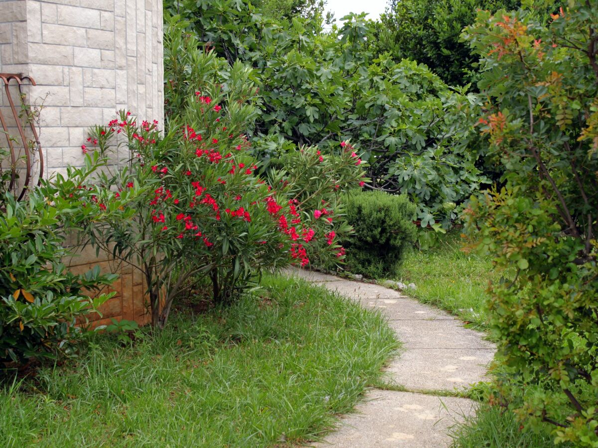 Apartment Studio flat with terrace and sea view Jadranovo, Crikvenica AS-3237-b - Outdoor photo 5