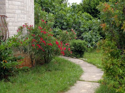 Apartment Studio flat with terrace and sea view Jadranovo, Crikvenica AS-3237-b - Outdoor photo 5