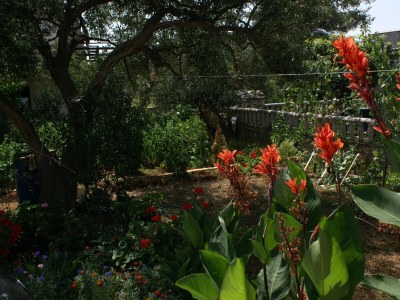 Apartment Apartments with parking space Rogoznica - 4218 - Outdoor photo 7