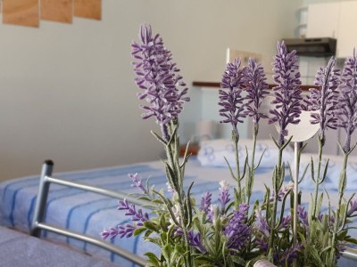 Apartment Studio flat with terrace and sea view Novi Vinodolski AS-18968-a - Outdoor photo 10