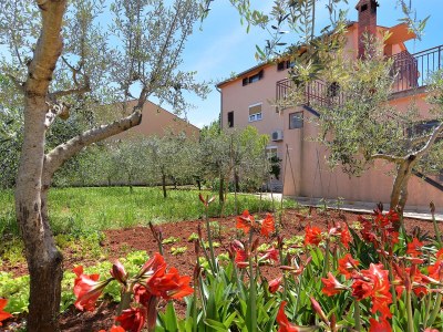 Apartment Two bedroom apartment with terrace and sea view Fažana A-19641-a - Outdoor photo 6