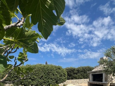 Apartment Family-friendly apartments with swimming pool Mandre, Pag - 24196 - Outdoor photo 17