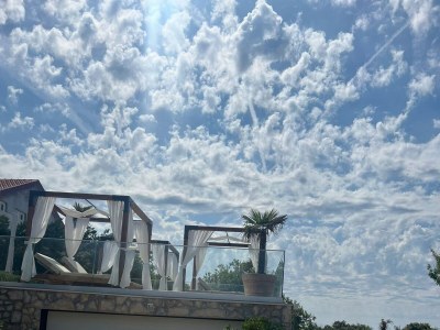 Apartment Family-friendly apartments with swimming pool Mandre, Pag - 24196 - Outdoor photo 25