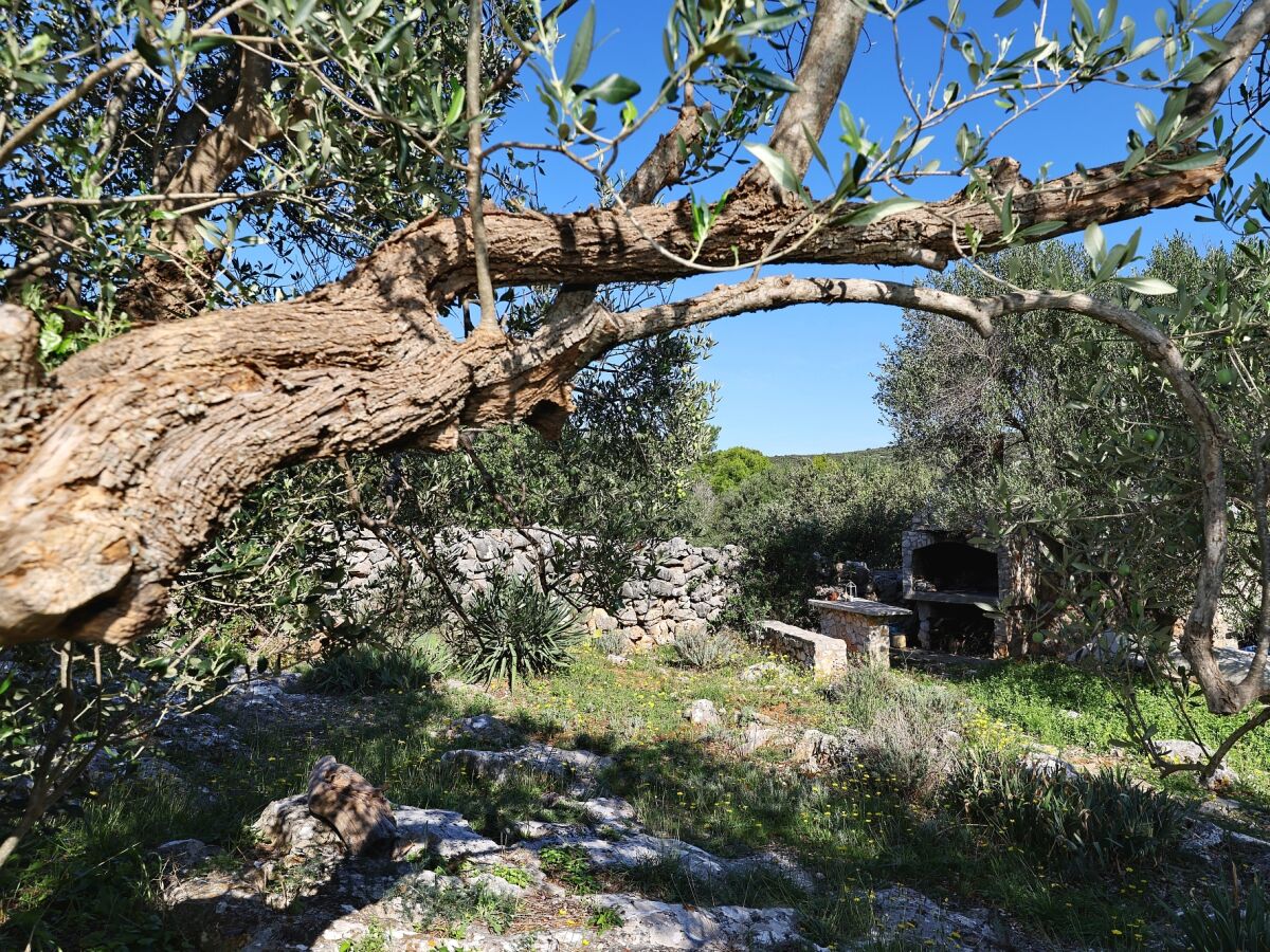 Holiday house Two bedroom house near beach Cove Lađin - Lanđin, Pašman K-24044