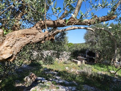 Holiday house Two bedroom house near beach Cove Lađin - Lanđin, Pašman K-24044 in Tkon - Holiday house