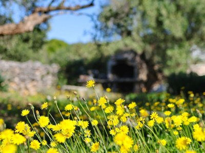 Holiday house Two bedroom house near beach Cove Lađin - Lanđin, Pašman K-24044 - Outdoor photo 8