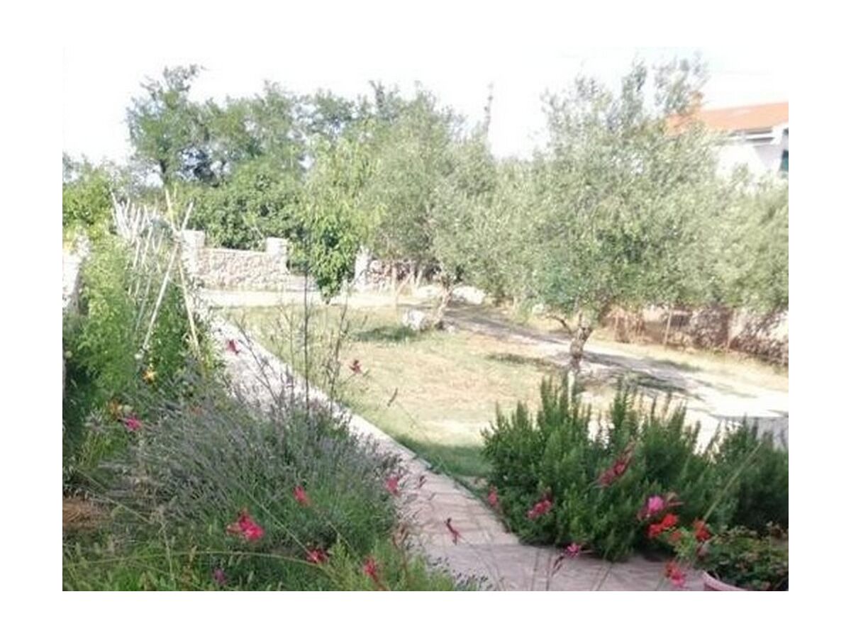 Apartment Studio flat with terrace Tkon, Pašman AS-24280-a - Outdoor photo 2