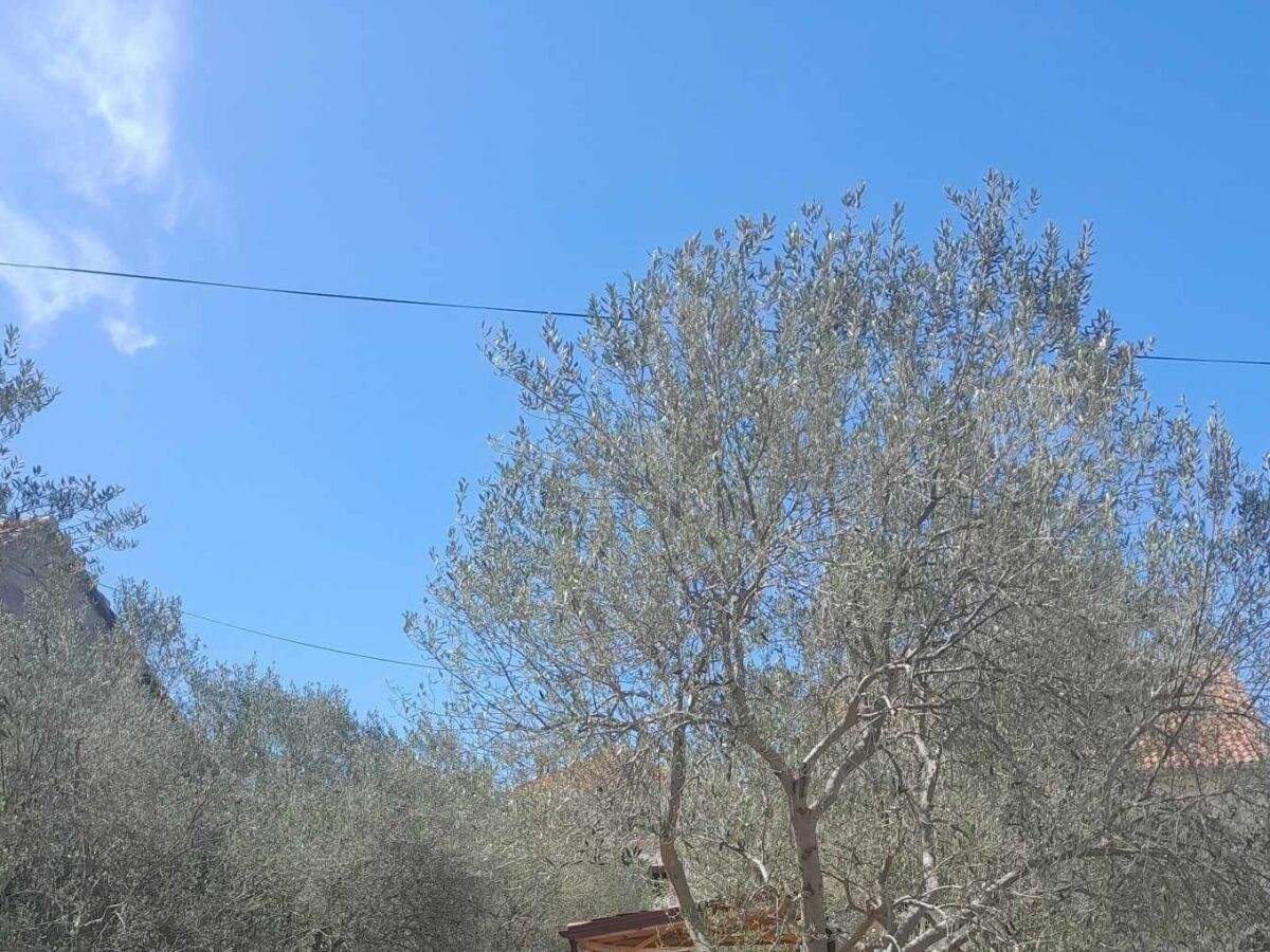 Apartment Studio flat with terrace Tkon, Pašman AS-24280-a - Outdoor photo 3