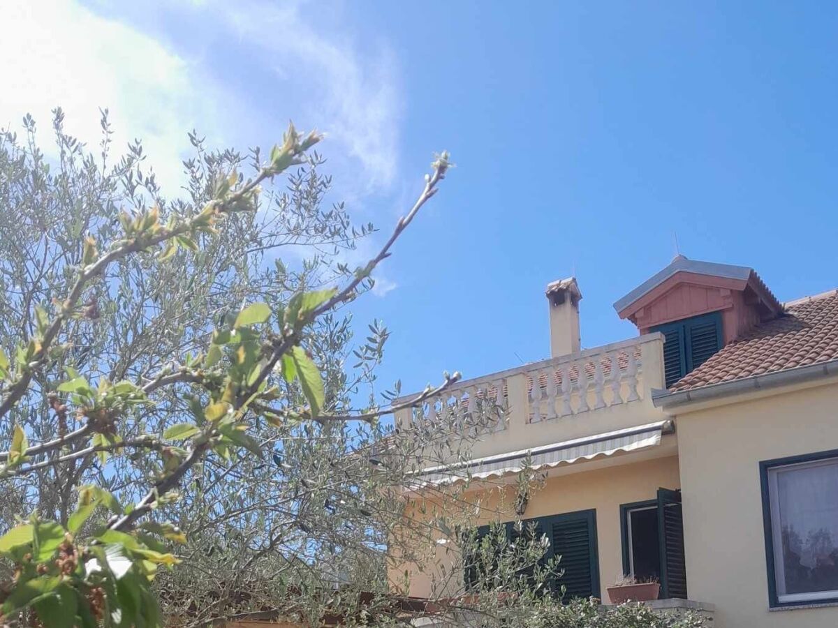 Apartment Studio flat with terrace Tkon, Pašman AS-24280-a - Outdoor photo 4