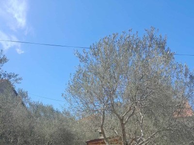 Apartment Studio flat with terrace Tkon, Pašman AS-24280-a - Outdoor photo 3