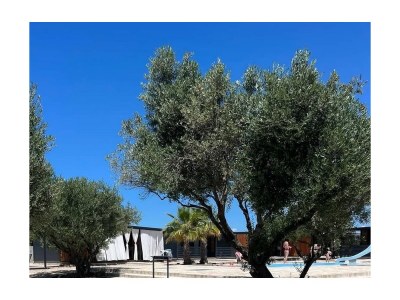 Apartment Two bedroom apartment with terrace Pirovac, Šibenik A-24299-a - Outdoor photo 11