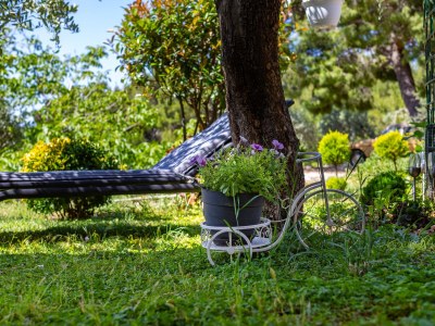 Apartment Two bedroom apartment with terrace and sea view Lokva Rogoznica, Omiš A-24321-a - Outdoor photo 8