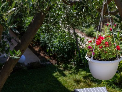 Apartment Two bedroom apartment with terrace and sea view Lokva Rogoznica, Omiš A-24321-a - Outdoor photo 9