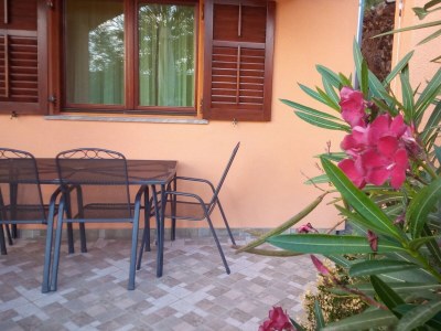 Apartment One bedroom apartment with terrace and sea view Rovanjska, Paklenica A-24348-a - Outdoor photo 17