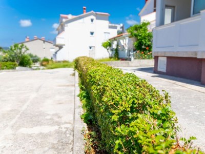 Apartment Two bedroom apartment with terrace Rab A-24367-b - Outdoor photo 6
