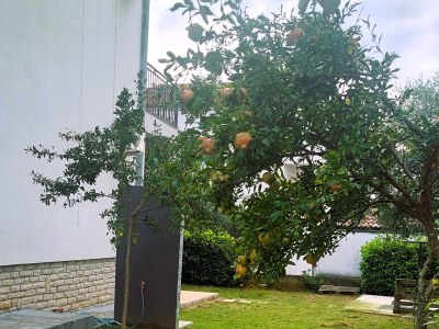 Apartment Four-bedroom apartment with terrace and sea view Biograd na Moru, Biograd A-24355-a - Outdoor photo 3