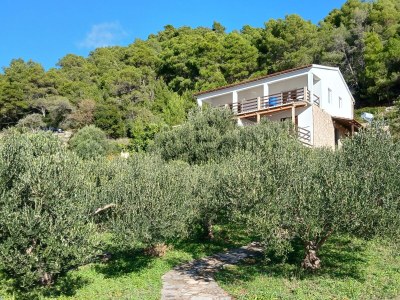 Apartment Two bedroom apartment with terrace and sea view Cove Torac, Hvar A-24462-a - Outdoor photo 6