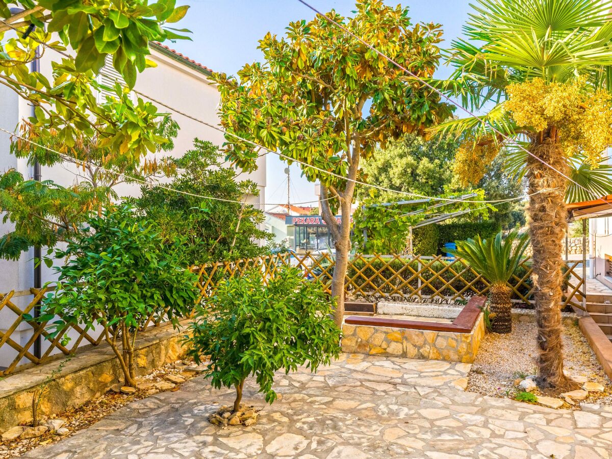 Apartment One bedroom apartment with terrace and sea view Mandre, Pag A-24492-c - Outdoor photo 5