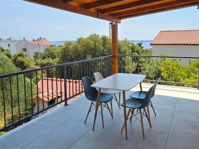 Apartment One bedroom apartment with terrace and sea view Mandre, Pag A-24492-c - Outdoor photo 20