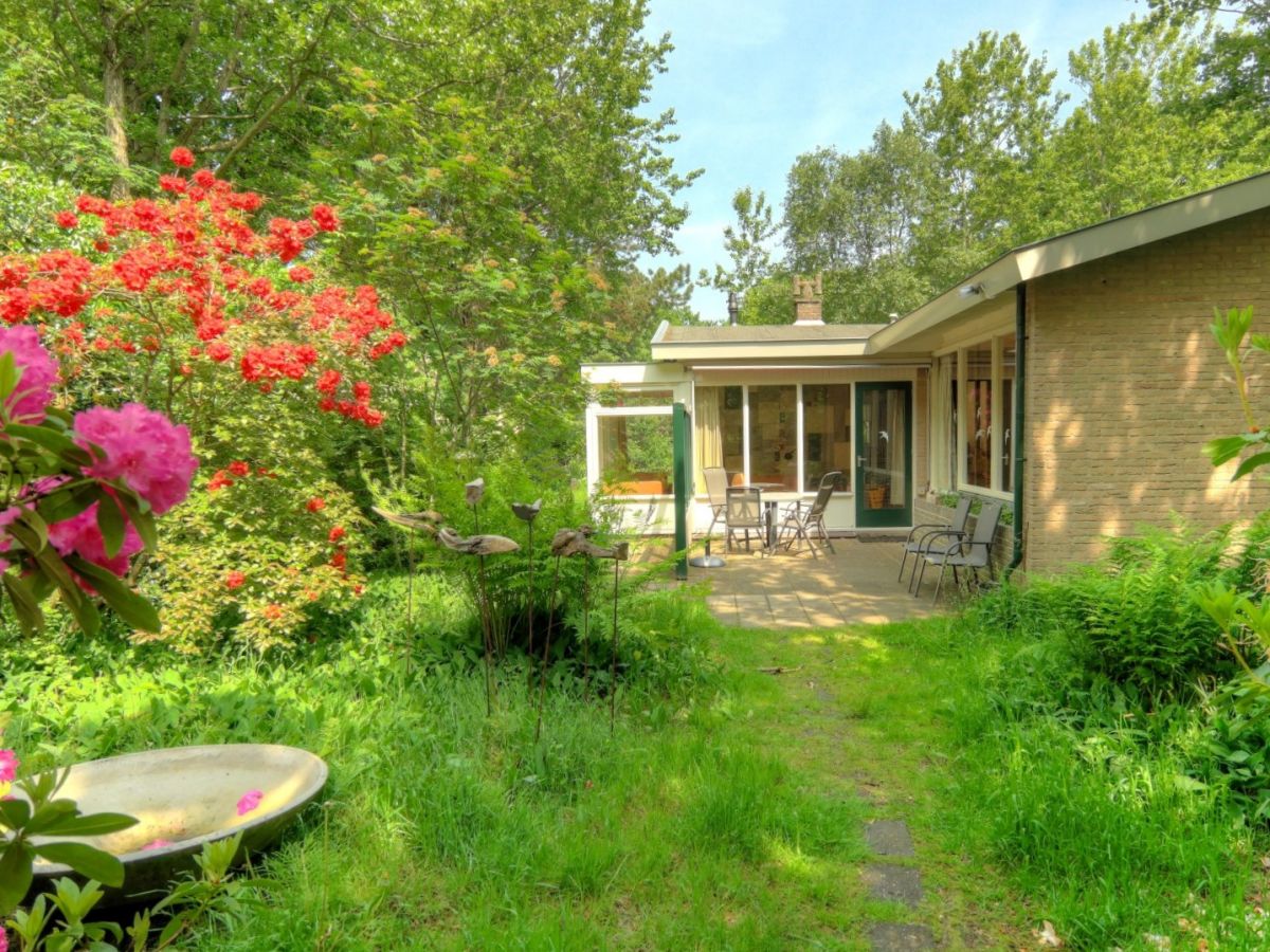 Bungalow 't Vogelbergje - CaliforniÃ«weg 515 - Outdoor photo 2