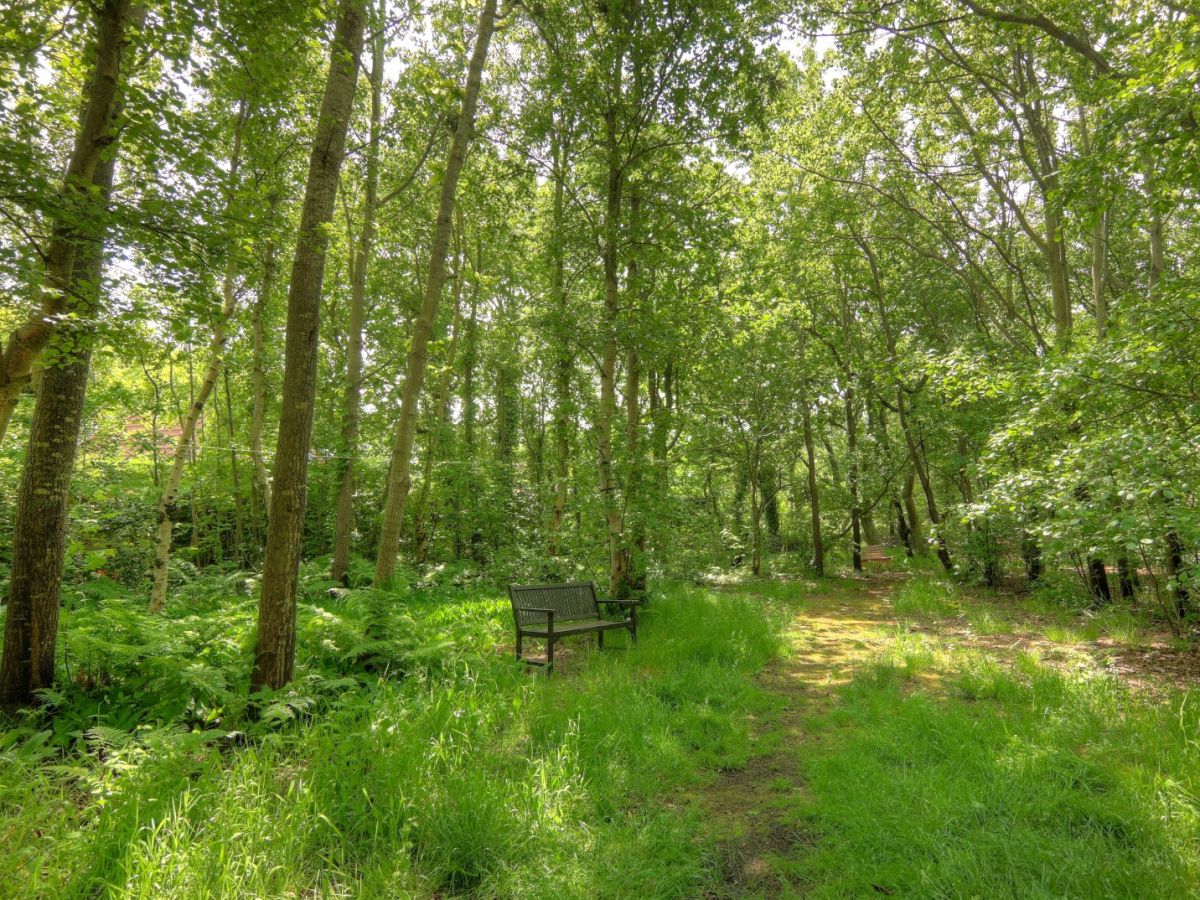Bungalow 't Vogelbergje - CaliforniÃ«weg 515 - Outdoor photo 4
