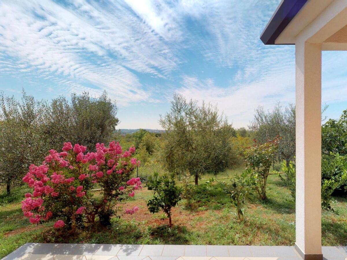 Apartment Two bedroom apartment with terrace and sea view Vilanija, Umag A-24656-a