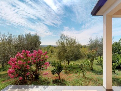 Apartment Two bedroom apartment with terrace and sea view Vilanija, Umag A-24656-a in Umag - Apartment