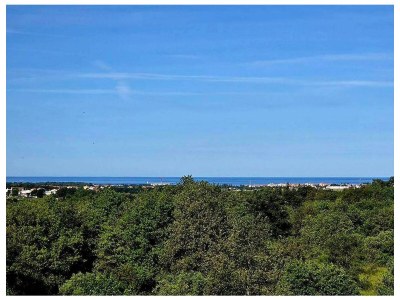 Apartment Two bedroom apartment with terrace and sea view Vilanija, Umag A-24656-a - Outdoor photo 14