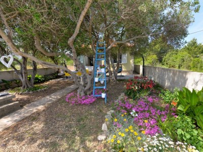 Holiday house Two bedroom house near beach Banj, Pašman K-24665 - Outdoor photo 5