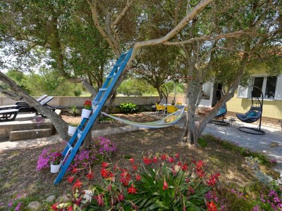 Holiday house Two bedroom house near beach Banj, Pašman K-24665 - Outdoor photo 10