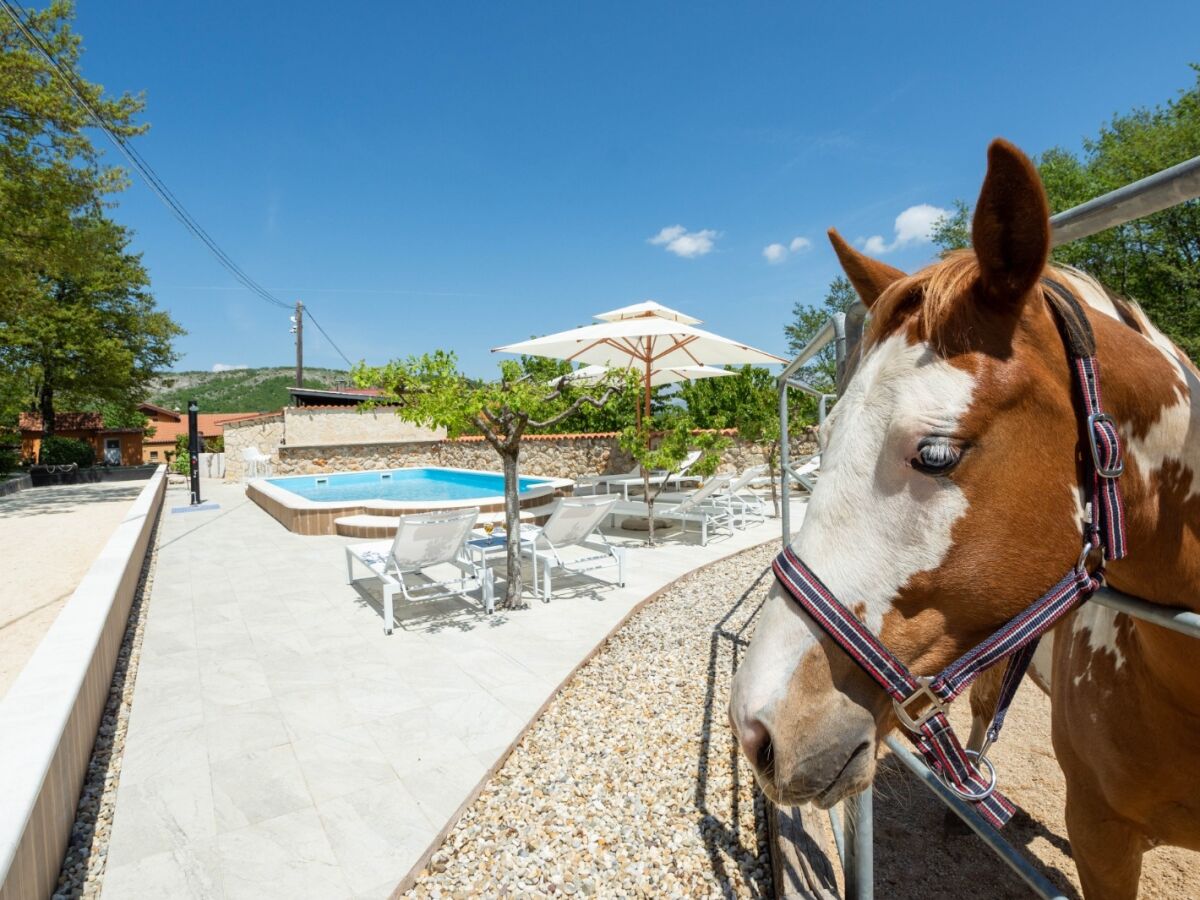 Holiday house Four-bedroom house with balcony Maovice, Zagora K-24726 - Outdoor photo 3