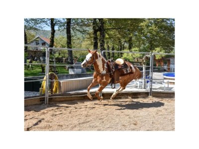 Holiday house Four-bedroom house with balcony Maovice, Zagora K-24726 - Outdoor photo 19