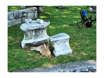 Holiday house Four-bedroom house with balcony Maovice, Zagora K-24726 - Outdoor photo 22