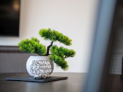 Apartment One bedroom apartment with balcony and sea view Mastrinka, Čiovo A-24727-b - Outdoor photo 11