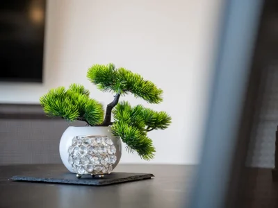 Apartment One bedroom apartment with balcony and sea view Mastrinka, Čiovo A-24727-c - Outdoor photo 12